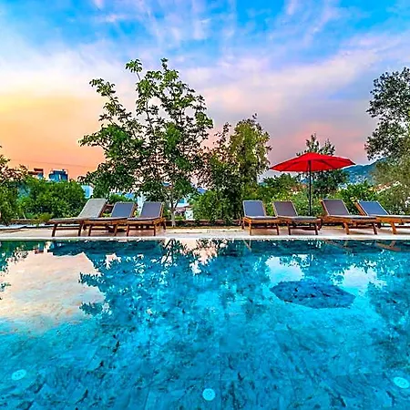 Elizya Boutique Hotel *