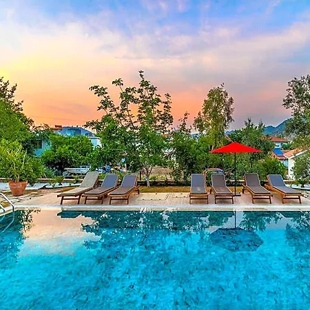 Otel Elizya Boutique *