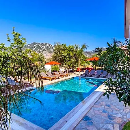 Elizya Boutique * סייד